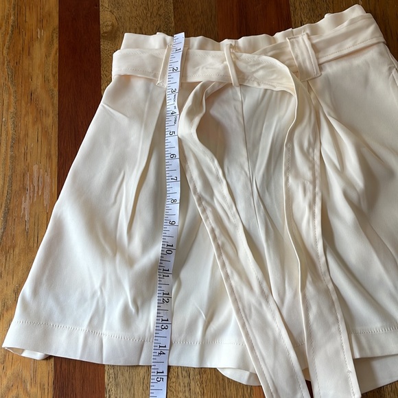 Max Studio Shorts - Picture 6 of 12